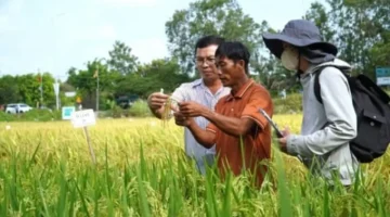 خطة زراعية جديدة.. تعزيز عمل فرق الإرشاد المجتمعية لضمان استدامة الإنتاج المحلي